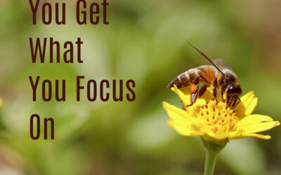 You Get What You Focus On