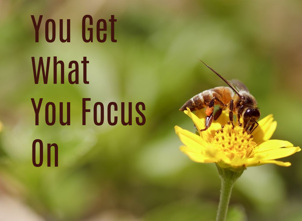 you get what you focus on