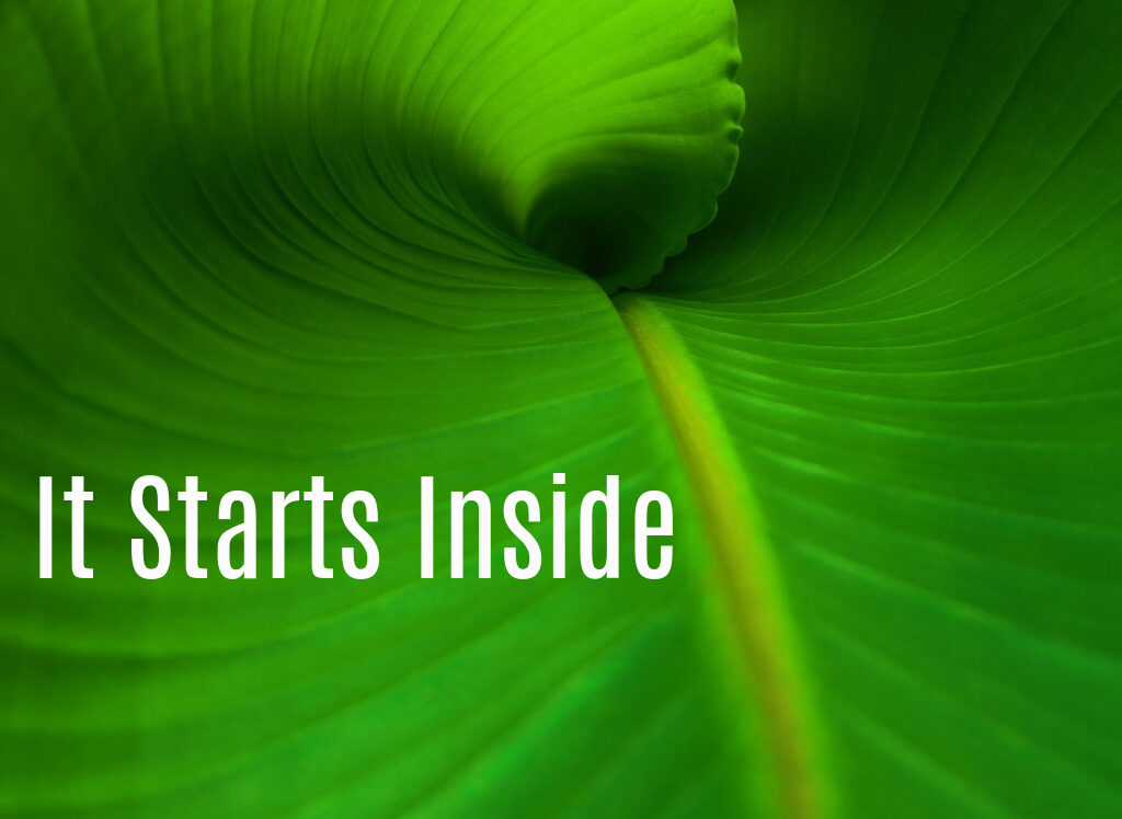 It Starts Inside