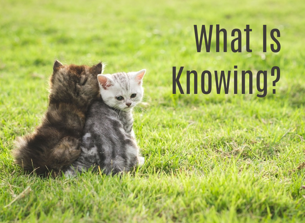 What is Knowing?