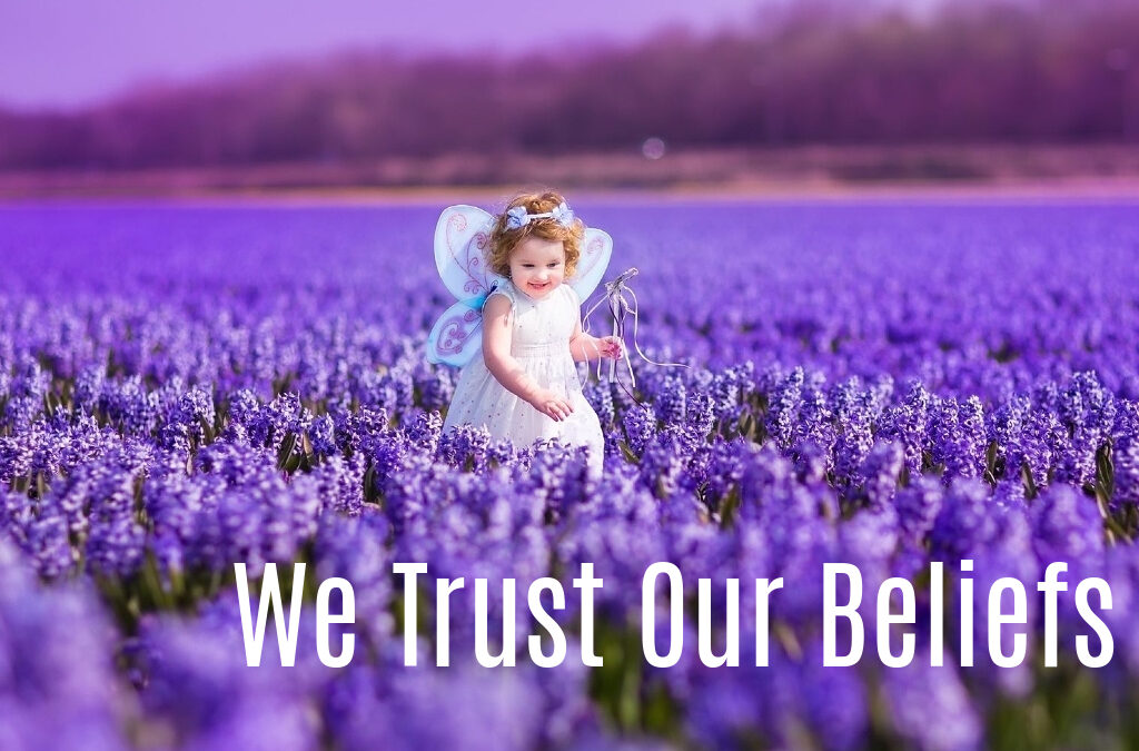 We Trust Our Beliefs