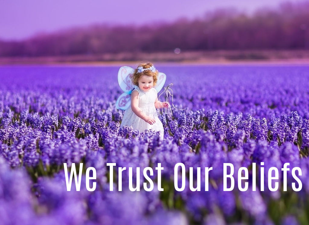 We Trust Our Beliefs