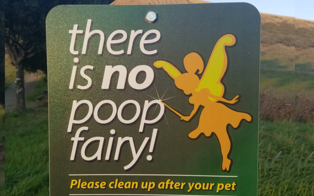 There is No Poop Fairy